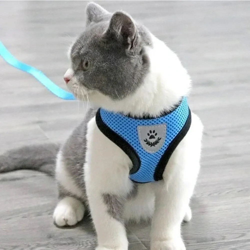 Blue Breathable Mesh Pet Harness and Leash Set Reflective Vest Medium Dog Cat